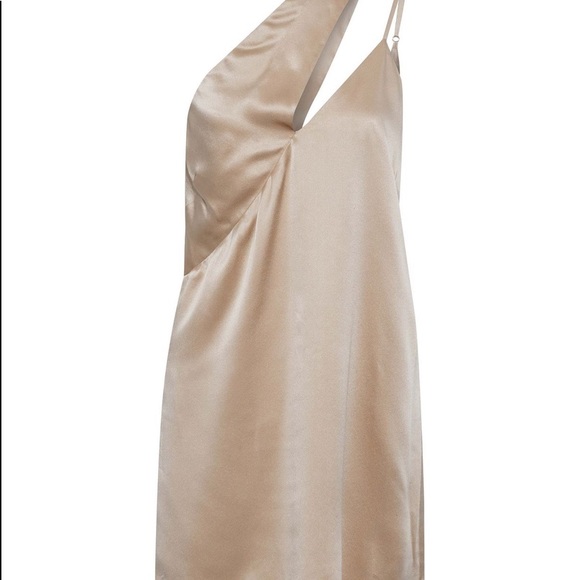 Michelle Mason Nude Silk Revolve Dress NWT - Picture 7 of 8